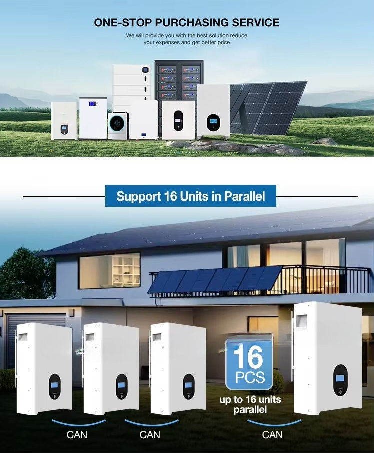 48V 51.2V 5kWh 10KWh 15kWh 16k - Lithium Battery 100Ah review and price